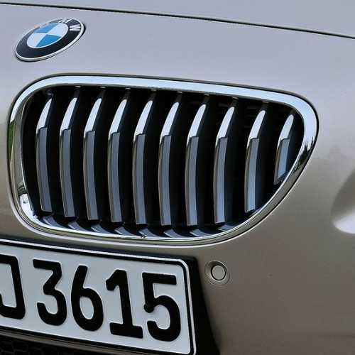 BMW BMW純正 キドニー・グリル(F06/F12/F13 650i) : APdirect - 通販
