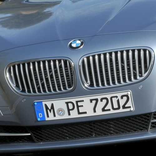 BMW BMW純正 キドニー・グリル（F10/F11 550i 〜2013/07）（Active 