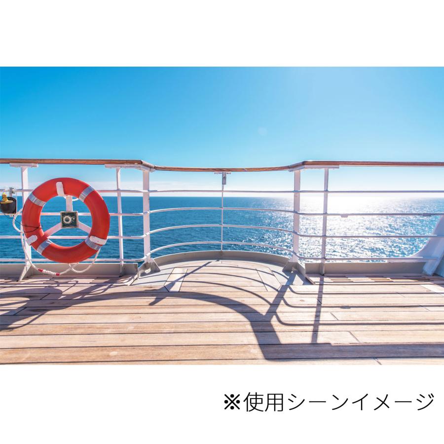 FlipRocks フリップロックス 交換用パッドセット マリンスポーツマン【ボート・ヨット用（グリップ力を高めたラバーパッド）】 |  | 04