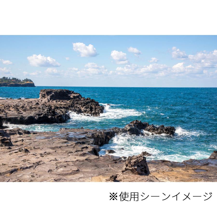 FlipRocks フリップロックス 交換用パッドセット Ｇ−ＲＥＸ（ジーレックス）【磯釣り用（過酷な岩場などに最適な大きなスパイク内臓）】 |  | 04