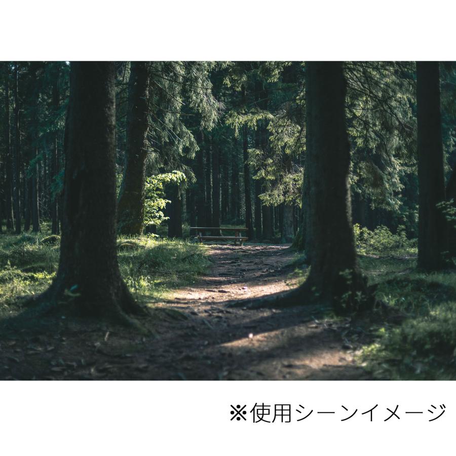 FlipRocks フリップロックス 交換用パッドセット ティンバーライン【トレッキング・普段履き用】フィッシング 釣り |  | 03