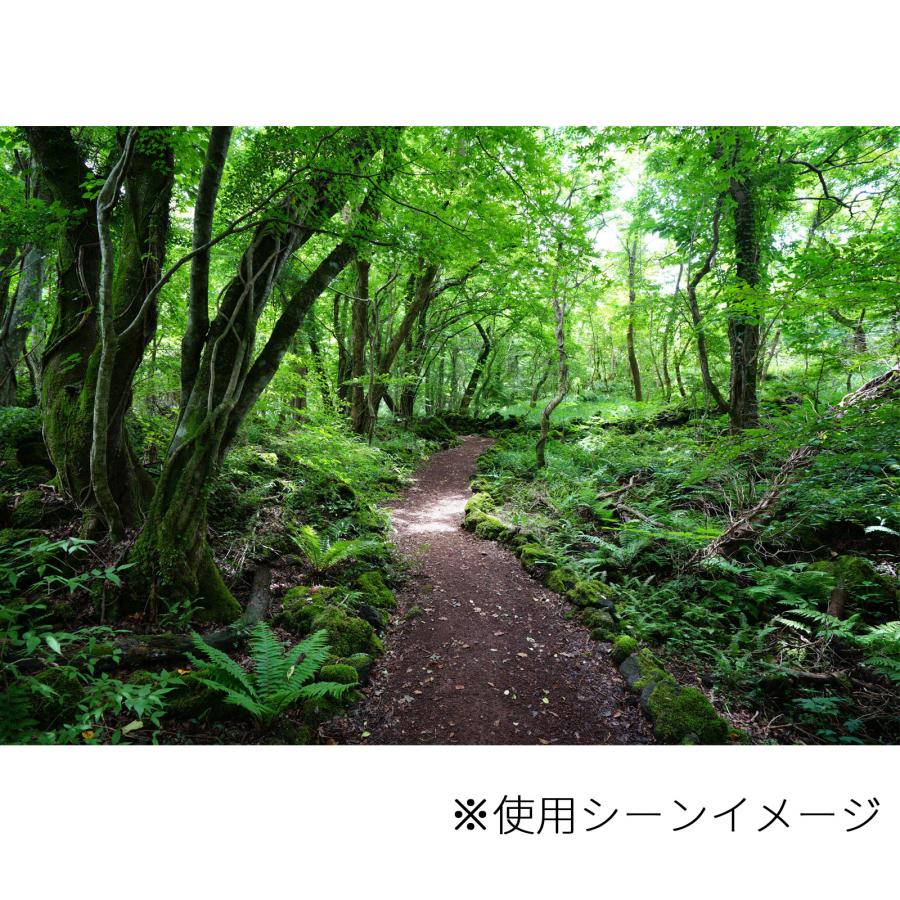 FlipRocks フリップロックス 交換用パッドセット ティンバーライン【トレッキング・普段履き用】フィッシング 釣り |  | 04