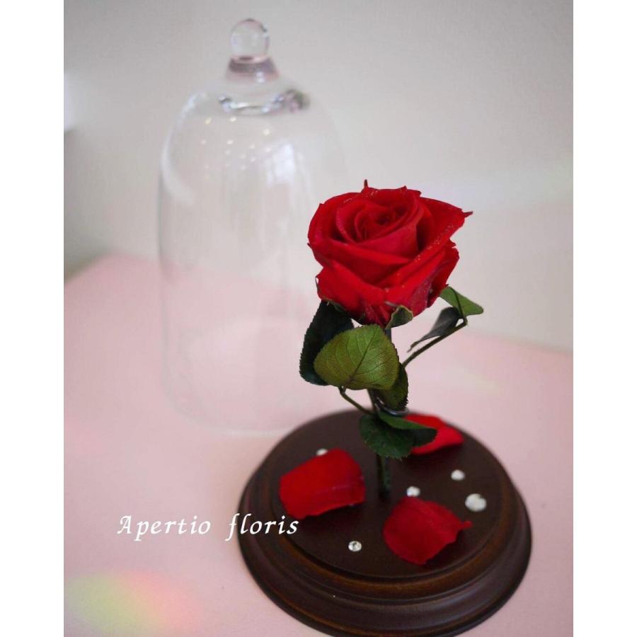 プリザーブドフラワー 美女と野獣のバラ 赤 レッド 花 ギフト 誕生日 送別会 歓迎会 退職祝い 歓送迎会 送別 卒業 母の日 結婚 記念日 プレゼント Pf 9007 Apertiofloris 通販 Yahoo ショッピング