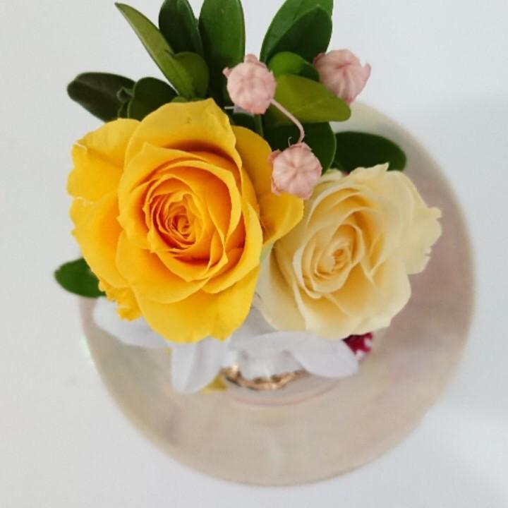 プリザーブドフラワー仏花ミニドームイエロー★花 贈り物 供物 お供え お供え花 お悔やみ 花 法事 四十九日法要 命日 喪中見舞い |  | 05