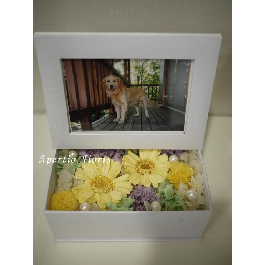 プリザーブドフラワーフォトボックス仏花イエロー 黄色 花 贈り物 供物 お供え お供え花 お悔やみ 花 法事 四十九日法要 命日 喪中見舞い Pr Fbp001 Apertiofloris 通販 Yahoo ショッピング