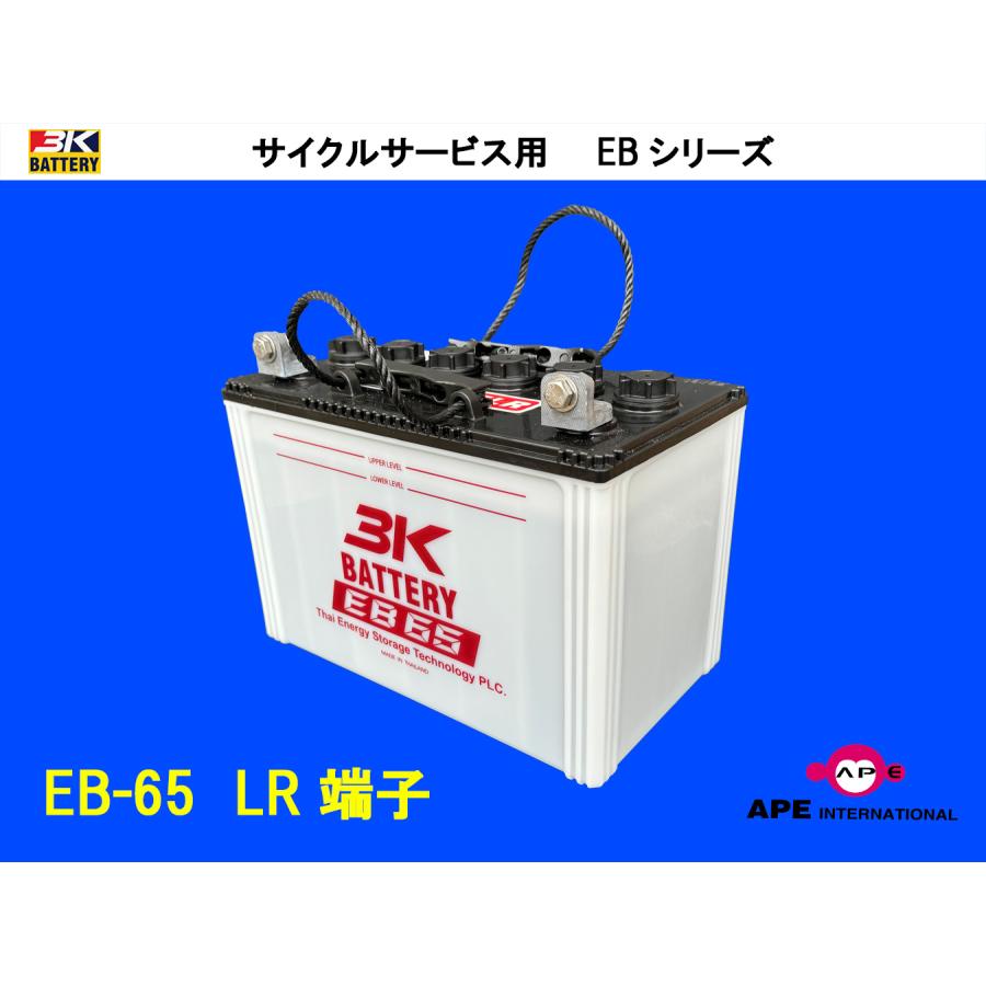 3Kバッテリー（スリーキングバッテリー） バッテリー EB65 LR端子 