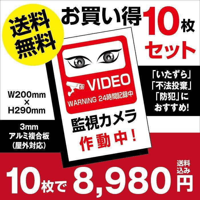 10枚仕かける 視線でドキ防犯『監督すること写真機動く中』 一皿 呼びもの w200mm×h290粍 camera-10set（10枚組）