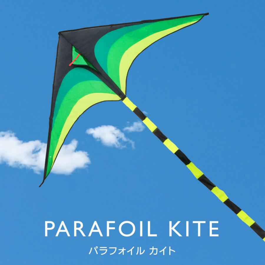 カイト 凧 長尾563cm 凧揚げ 凧上げ タコ揚げ 外遊び キッズ 子供 おもちゃ 玩具 レジャー ピクニック 公園 キャンプ 折りたたみ アウトドア 春 夏 Ktg 0001 Ktg 0001 Apex Store 通販 Yahoo ショッピング