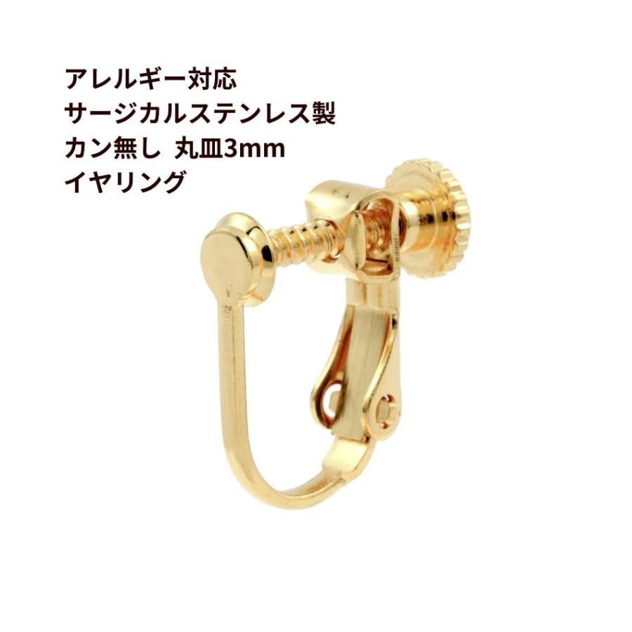 蝶バネイヤリング サージカルステンレス メルカリ便 22日まで 316L サージカルステンレス 蝶バネイヤリング ゴールド - メルカリ