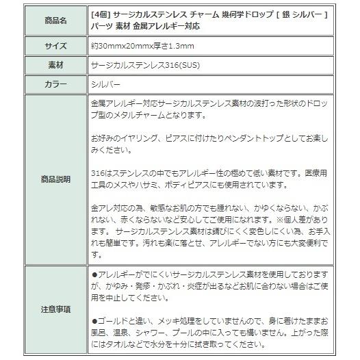 [4個] サージカルステンレス チャーム 幾何学ドロップ [ 銀 シルバー ] パーツ  素材 金属アレルギー対応 |  | 04