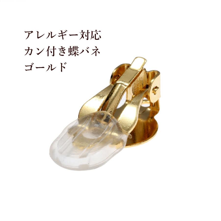 蝶バネイヤリング サージカルステンレス メルカリ便 22日まで 蝶バネイヤリング サージカルステンレス メルカリ便 22日まで