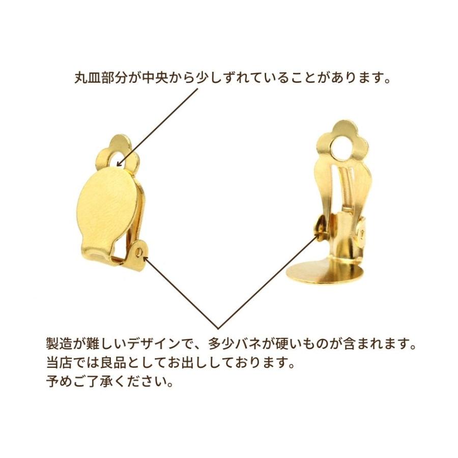 蝶バネイヤリング サージカルステンレス メルカリ便 22日まで アート陶器ピアス - メルカリ