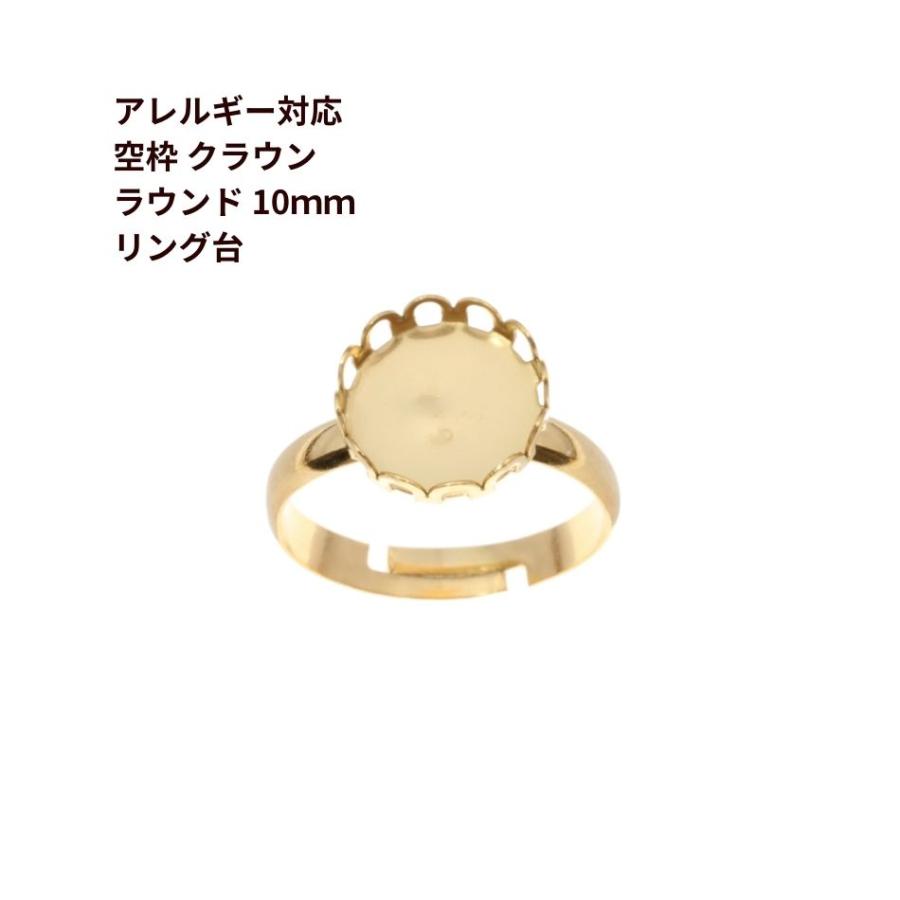 2個］サージカルステンレス 空枠 * ラウンド クラウン 【 10mm 】付き