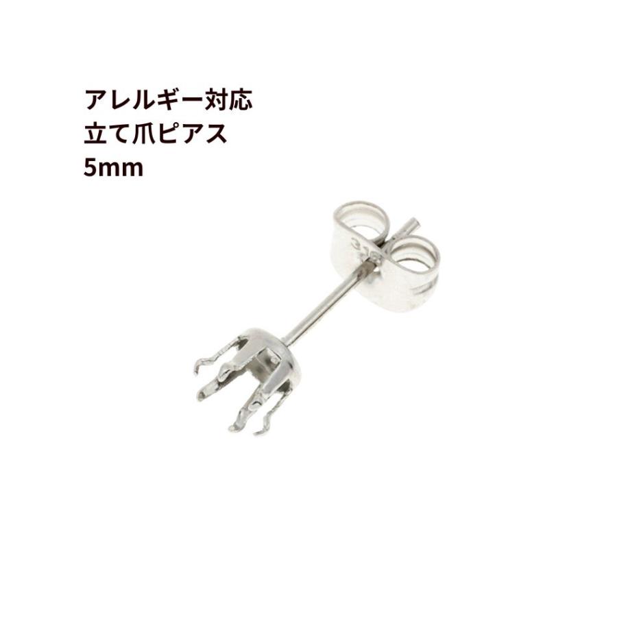 10個] 立て爪5mm ピアス ［ 銀 シルバー ］ サージカルステンレス
