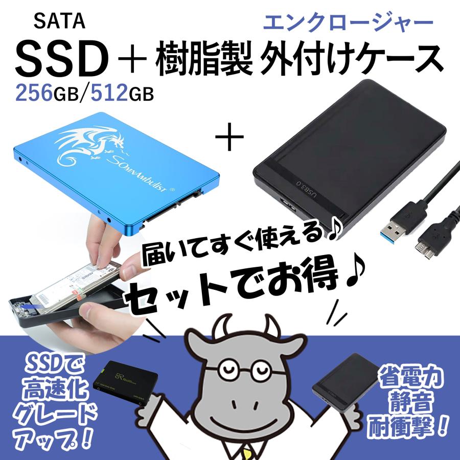 いつも特価★SSD256GB(SB)&樹脂製エンクロージャーセット Somnambulist｜外付け｜GJS07 SATAIII 2.5 ｜ノート デスクトップ｜送料無料｜apice-store｜03