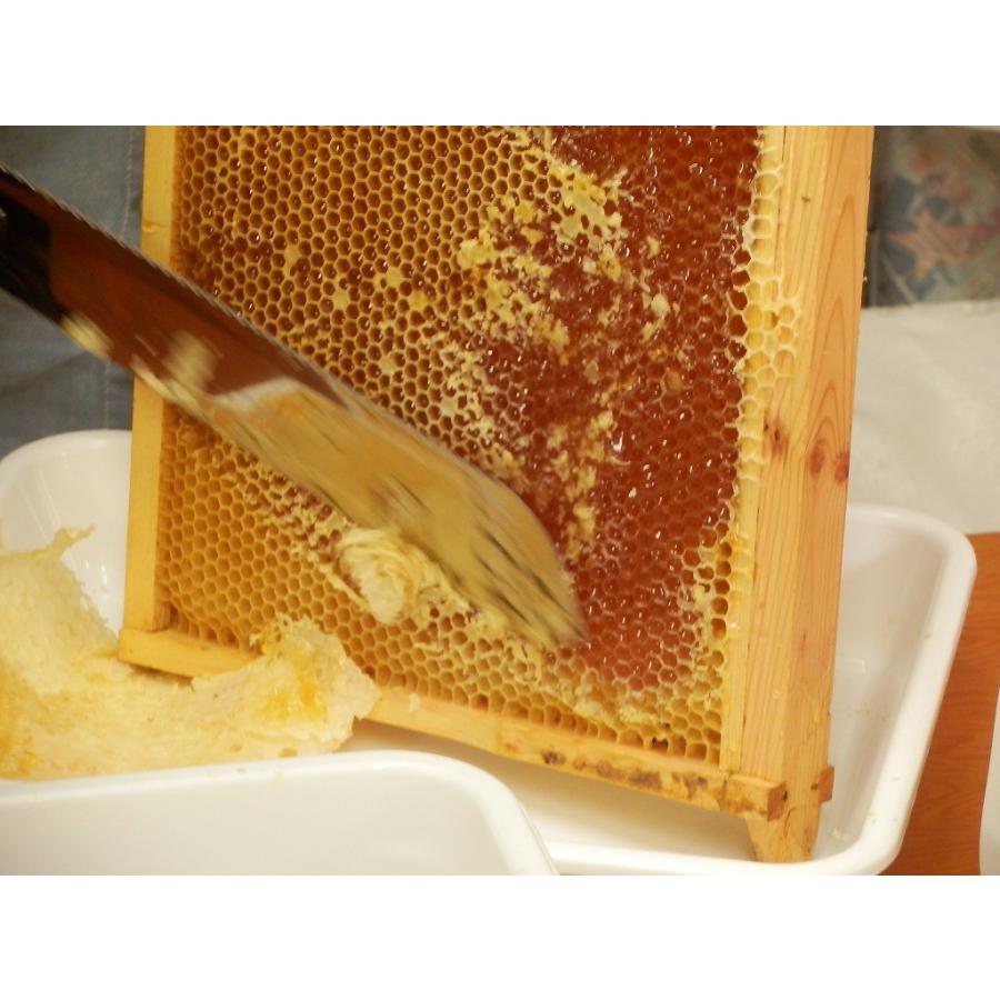 国産　無添加　非加熱　能登のはちみつ「ＨＡＲＵ」百花160g |  | 02