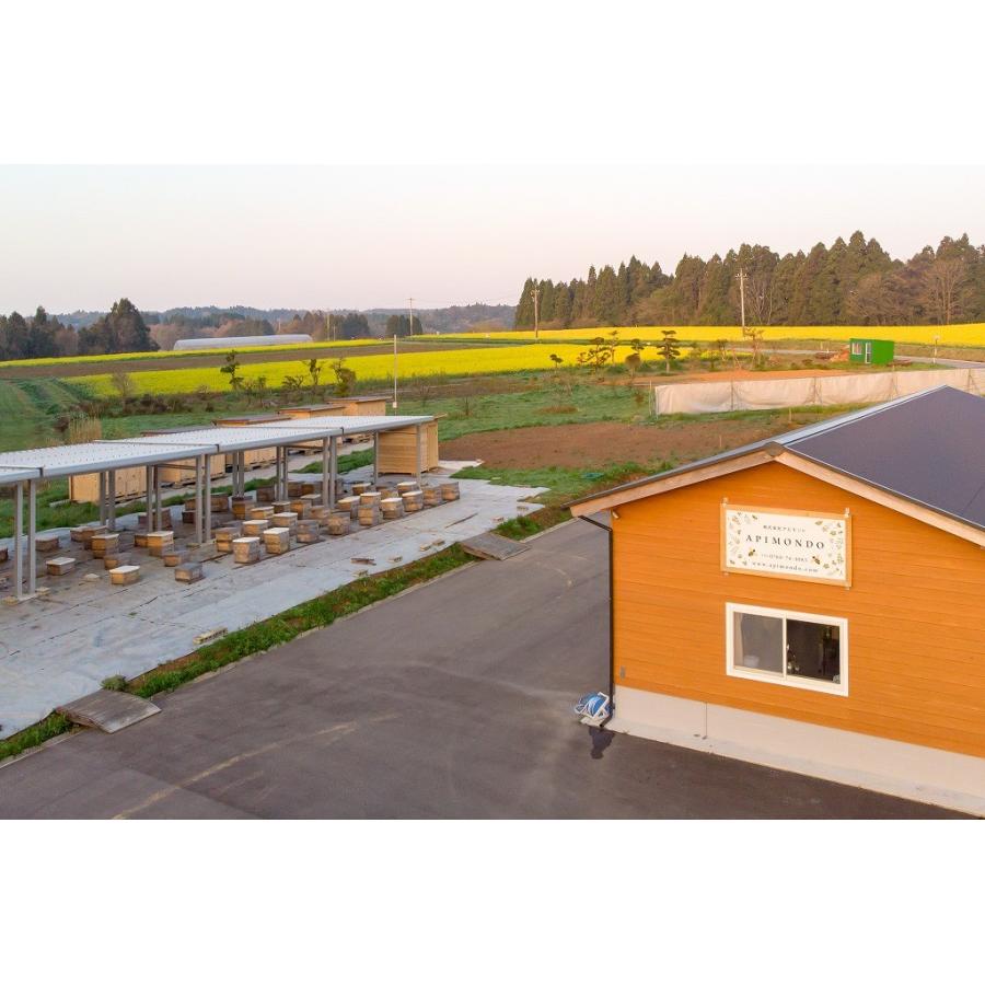 国産　無添加　非加熱　能登のはちみつ「ＨＡＲＵ」百花220g |  | 04