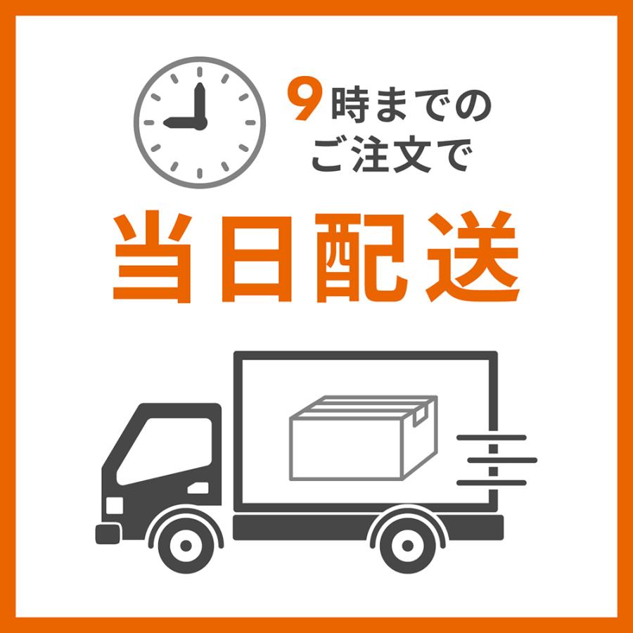 リュックサック 折りたたみ バッグ レディース 大容量 超軽量 おしゃれ 50代 60代 コンパクト 旅行 パッカブル 母の日 |  | 14