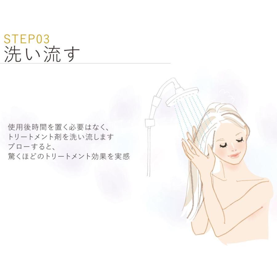 CARE PRO ケアプロ プロフェッショナル トリートメント浸透促進 CARE PRO ケアプロ プロフェッショナル トリートメント浸透促進