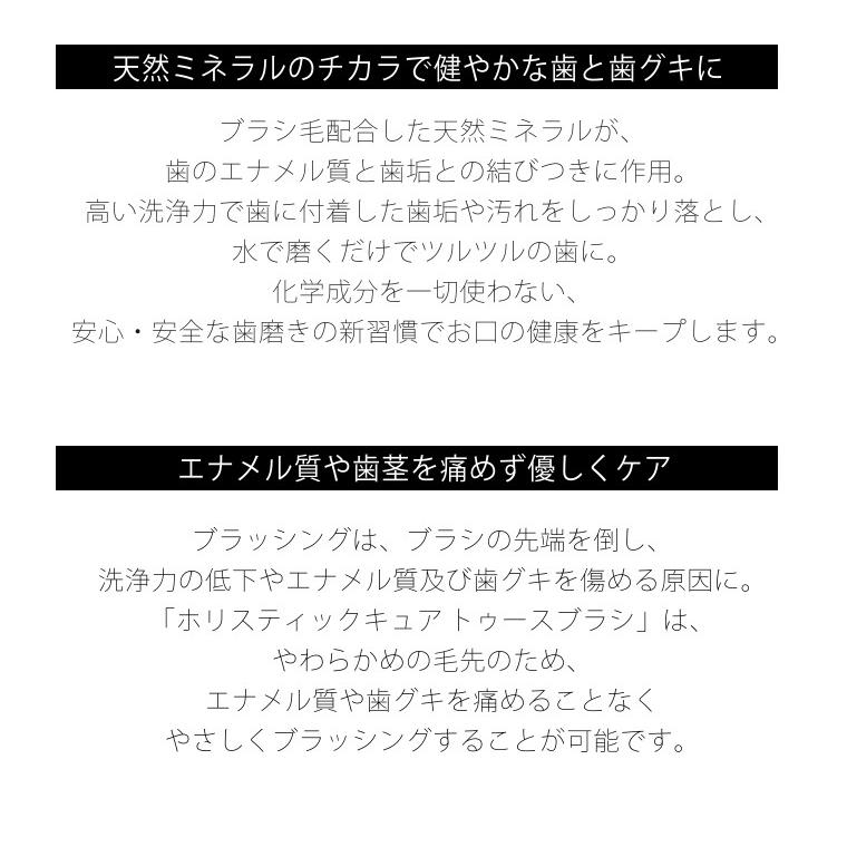 ホリスティックキュア 歯ブラシ トゥースブラシ デビューセット