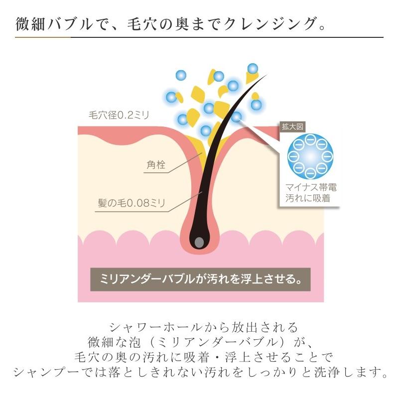 HOLISTIC　CURE　SHOWERHEAD 楽天市場】【ブランド公式】1年保証 ホリスティックキュア