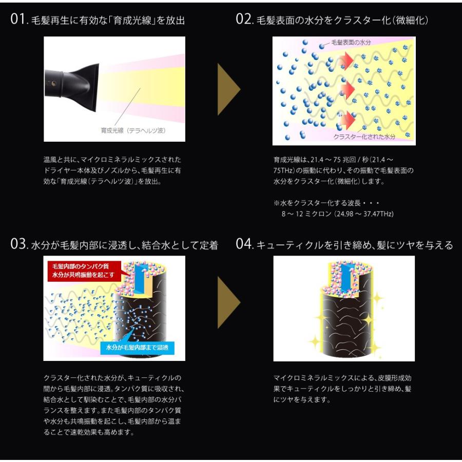 HOLISTIC cures ドライヤー ホリスティックキュア 大風量 速乾 HOLISTIC cures ドライヤー ホリスティックキュア 大風量 速乾