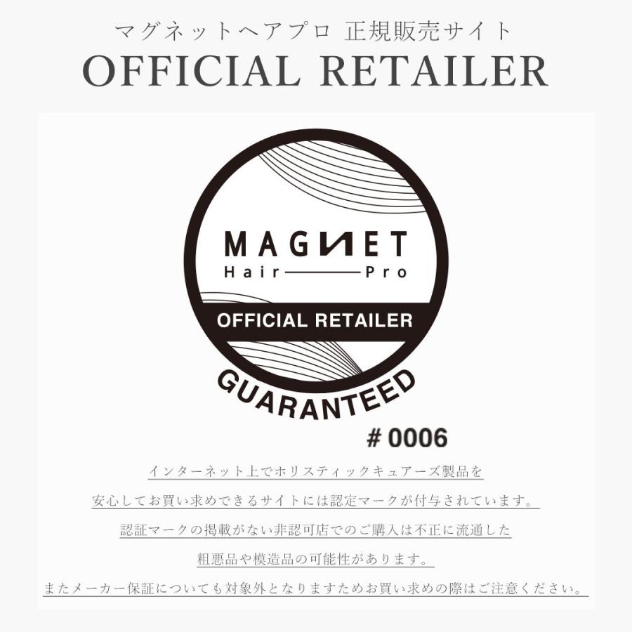 【箱付き】MAGNET Hair Pro HCS-G06G GRAY ホリスティックキュア マグネットヘアプロ ストレートアイロンS / ホリ