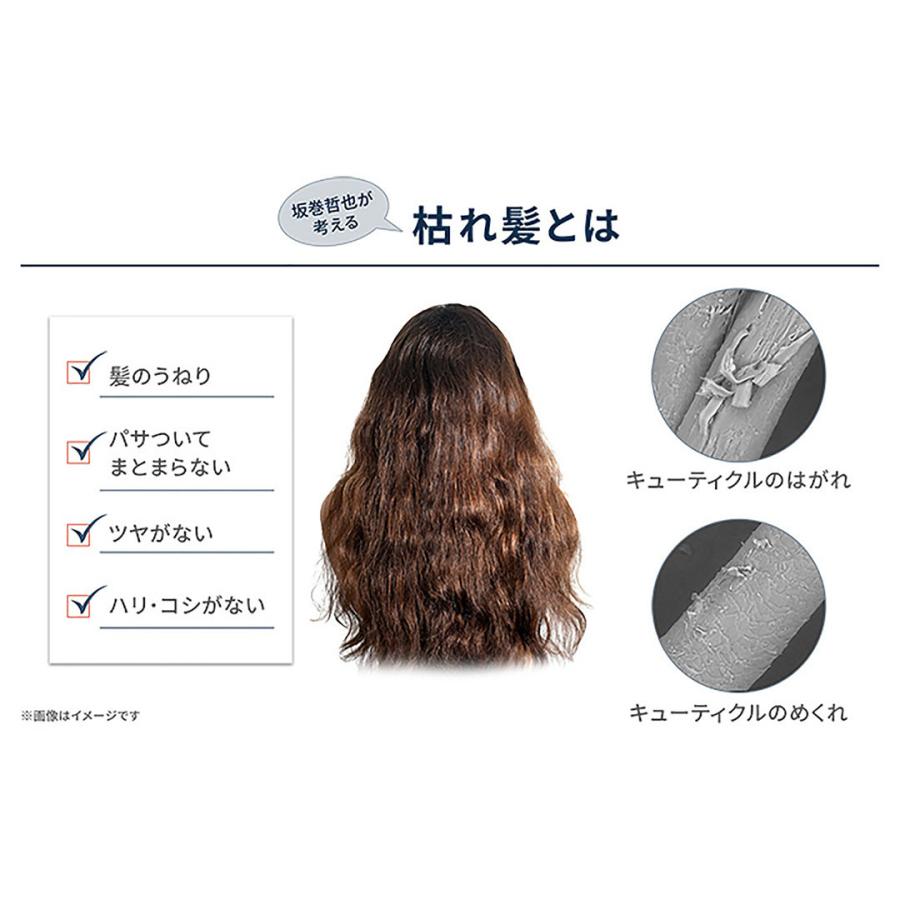 シャンプー ヘアローブ プロフェッショナル R スカルプリペアシャンプー 400ml 坂巻哲也｜apishmono｜08