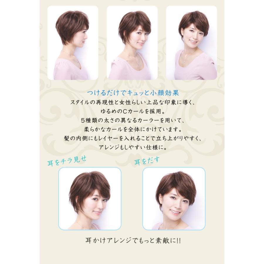 坂巻哲也 ヘアコサージュ フルウィッグ エレガントショート 送料無料