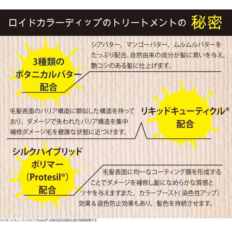 ロイド カラー ディップ Royd Color Dip トリートメント Royd Tr0 Apish Mo No 通販 Yahoo ショッピング