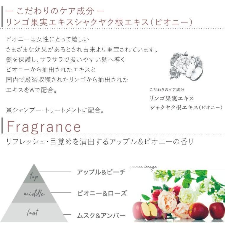 ソルティール アップル&ピオニー シャンプー トリートメント アウトバス 3点セット Sortir Haircare Series Apple&Peony | ソルティール | 04