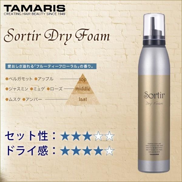 ソルティール TAMARIS Sortir Dry Foam Moisture Treatment