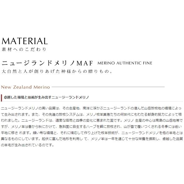 ベスト Vネックニットベスト メンズ S-M-L-2L トップス レセント