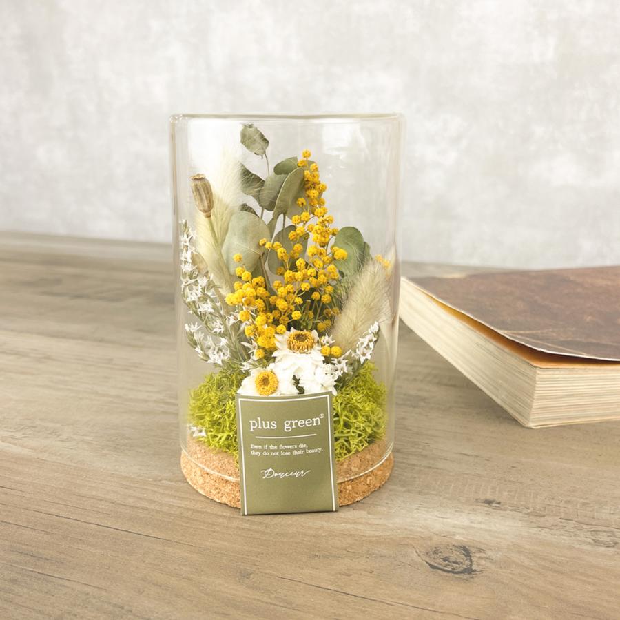 ドライフラワー プリザーブドフラワー コルクグラス ミニ ミモザ ガラスアレンジ 入学 誕生日 プチギフト Corkglass S Mimoza Aplus Store 通販 Yahoo ショッピング