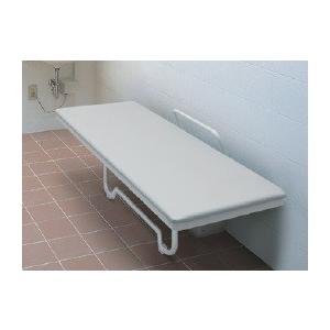 TOTO EWC520ARN 収納式多目的シート（グリップ付き） メーカー直送 | TOTO