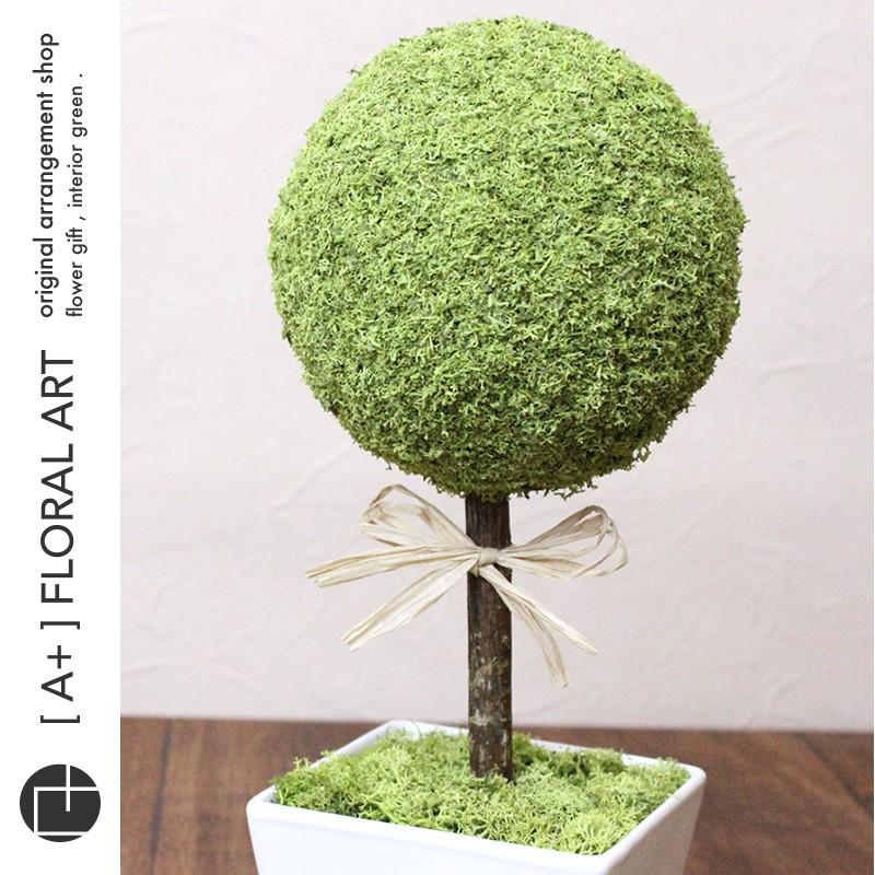 インテリアグリーン モストピアリー ムースククル プリザーブドフラワー グリーン 結婚式 ウェルカムボード ブライダル インテリア 玄関 Welcome 14 001i A Plus Floral Art 通販 Yahoo ショッピング