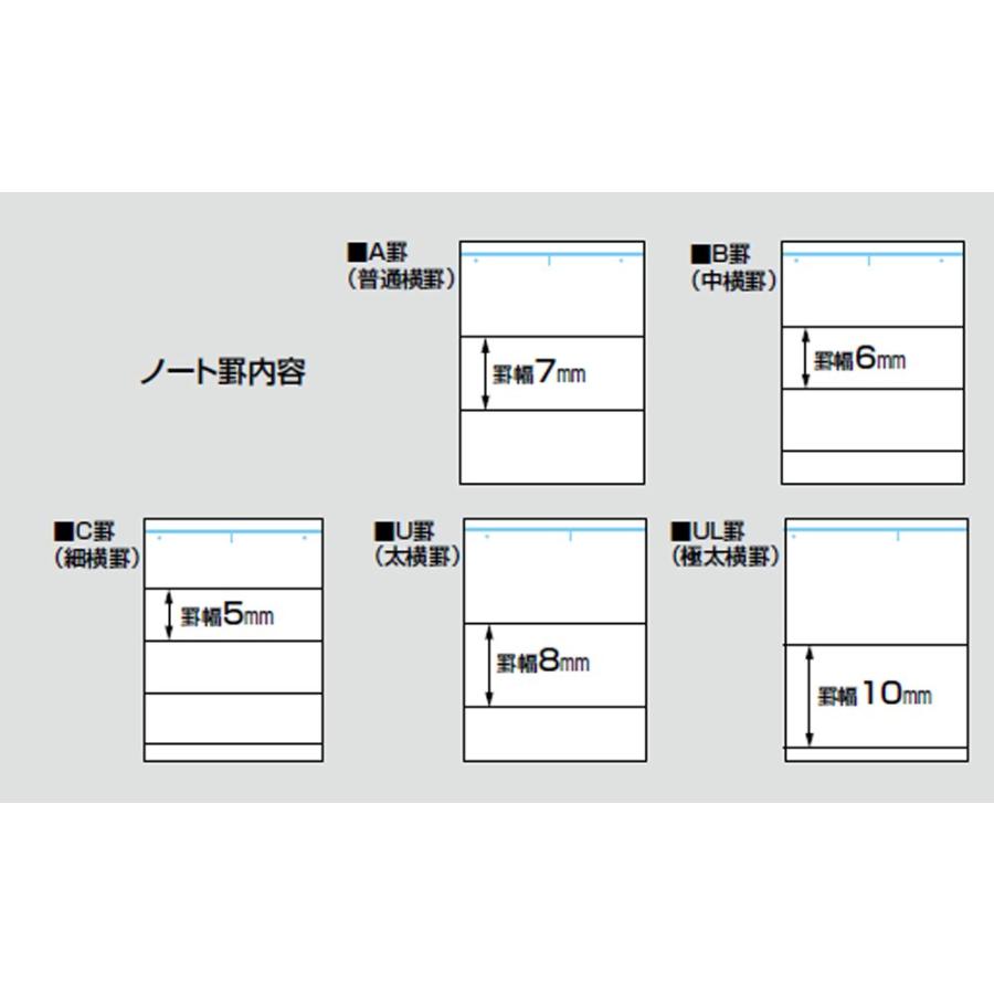 コクヨ キャンパス ルーズリーフ さらさら書ける A5 A罫 100枚 ノ-807AN｜apm-store｜02