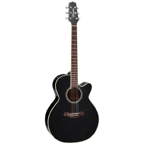 TAKAMINE PT-106-6 6連シングルヘッド仕様 長渕剛 純正アコギ