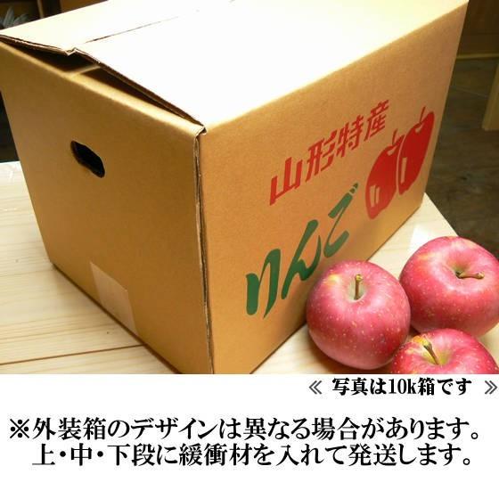 【送料無料】[訳あり品]ご家庭向けふじりんご「早生ふじ」10K以上！[11月上旬頃より出荷]｜apmfu｜03