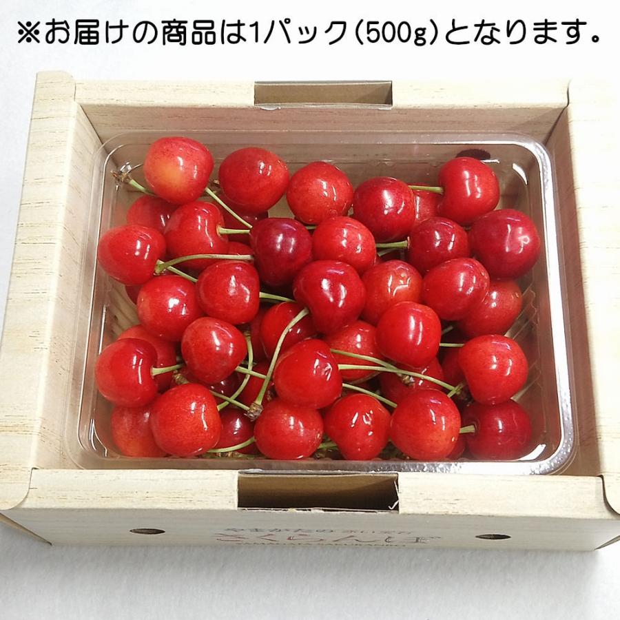 最新デザインの 送料無料 山形のさくらんぼ バラパック化粧箱 佐藤錦 秀品 ｌサイズ 500g Academiamusicalisboa Com