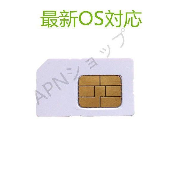 Softbank専用 iPad mini mini2 mini3 Air 2 Wi-Fi+Cellular NanoSIM 