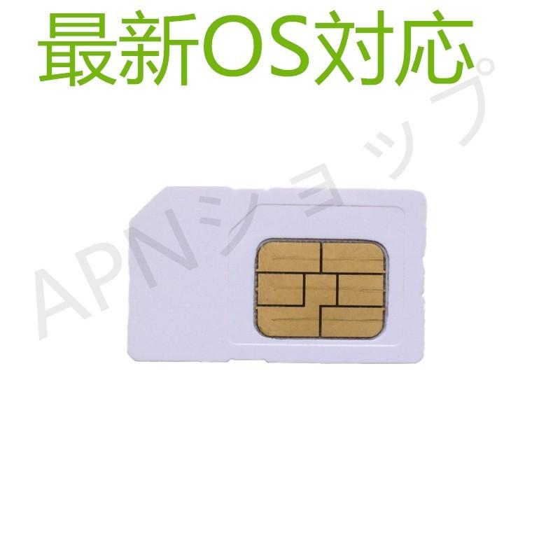 Softbank iPad iPad2 iPad3 iPad4 Wi-Fi+Cellular Softbank専用 microSIMサイズ アクティベートカードactivationアクティベーション【ゆうパケット送料無料】｜apnshop｜03