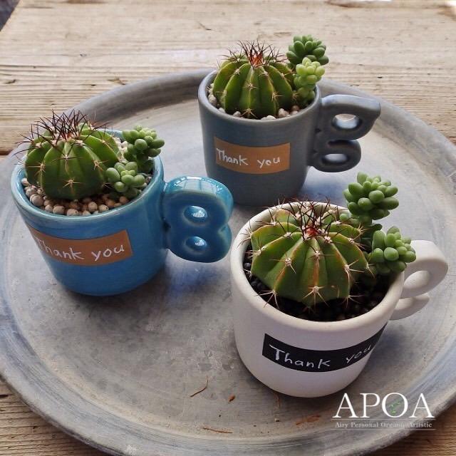 販売実績no 1 父の日 サボテン 多肉植物 寄せ植え デミスタカップ アルファベット 鉢入り 陶器 プレゼント ギフト