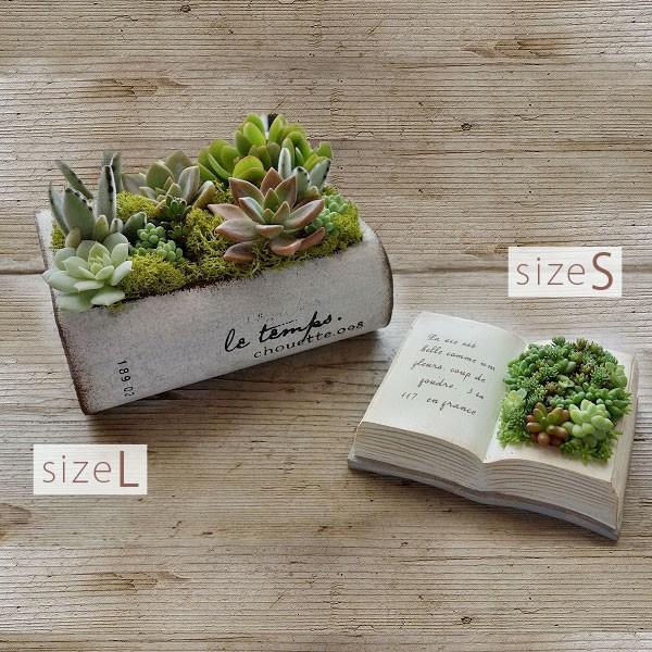 多肉植物 寄せ植え ｂｏｏｋ型 Lサイズ プレゼント 鉢花 本と多肉 Taniyose 67 Apoa アポア ヤフー店 通販 Yahoo ショッピング