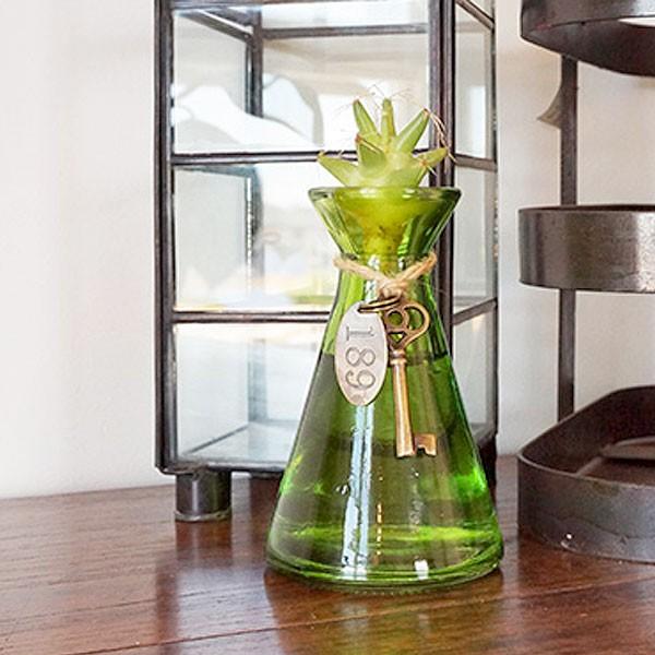 水耕サボテン 水耕栽培 フラスコ瓶 チャーム付き ガラス 多肉植物 ギフト プレゼント Y Sbf01 Apoa アポア ヤフー店 通販 Yahoo ショッピング