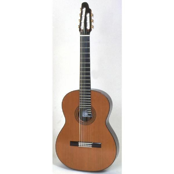 ASTURIAS アストリアス 7-STRING 7弦ギター