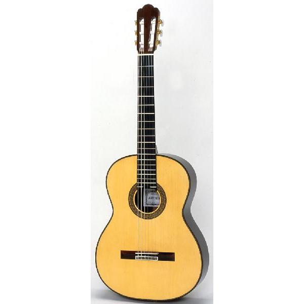 ASTURIAS アストリアス カスタム REGULAR MODEL  CUSTOM S / CUSTOM C