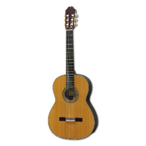 日本製】KODAIRA GUITARS 最上位モデル AST-150C/640 弦長640mm 杉単