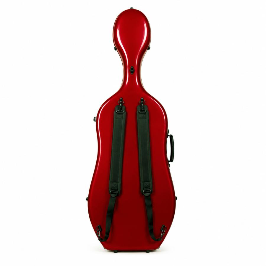 Eastman チェロケース スタンダード プラス 黒フレーム グラス