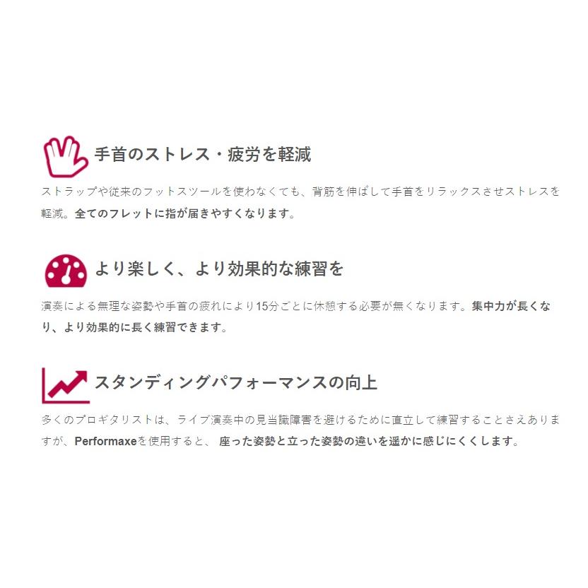 PERFORMAXE Full-Black Performaxe (パフォーマックス) エレキギター